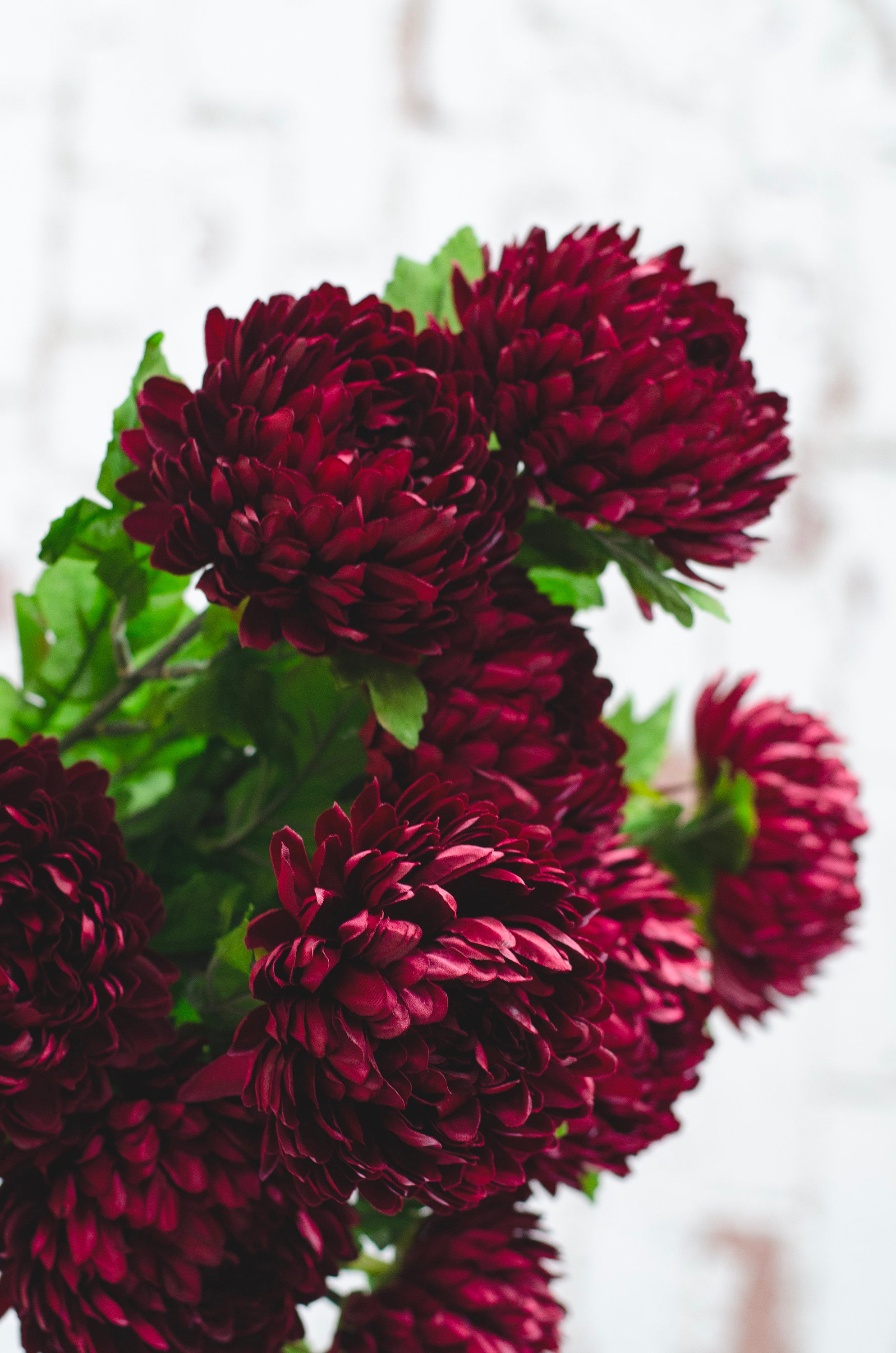 Artificial chrysanthemum mum stem in colour deep red 58cm. Single stem