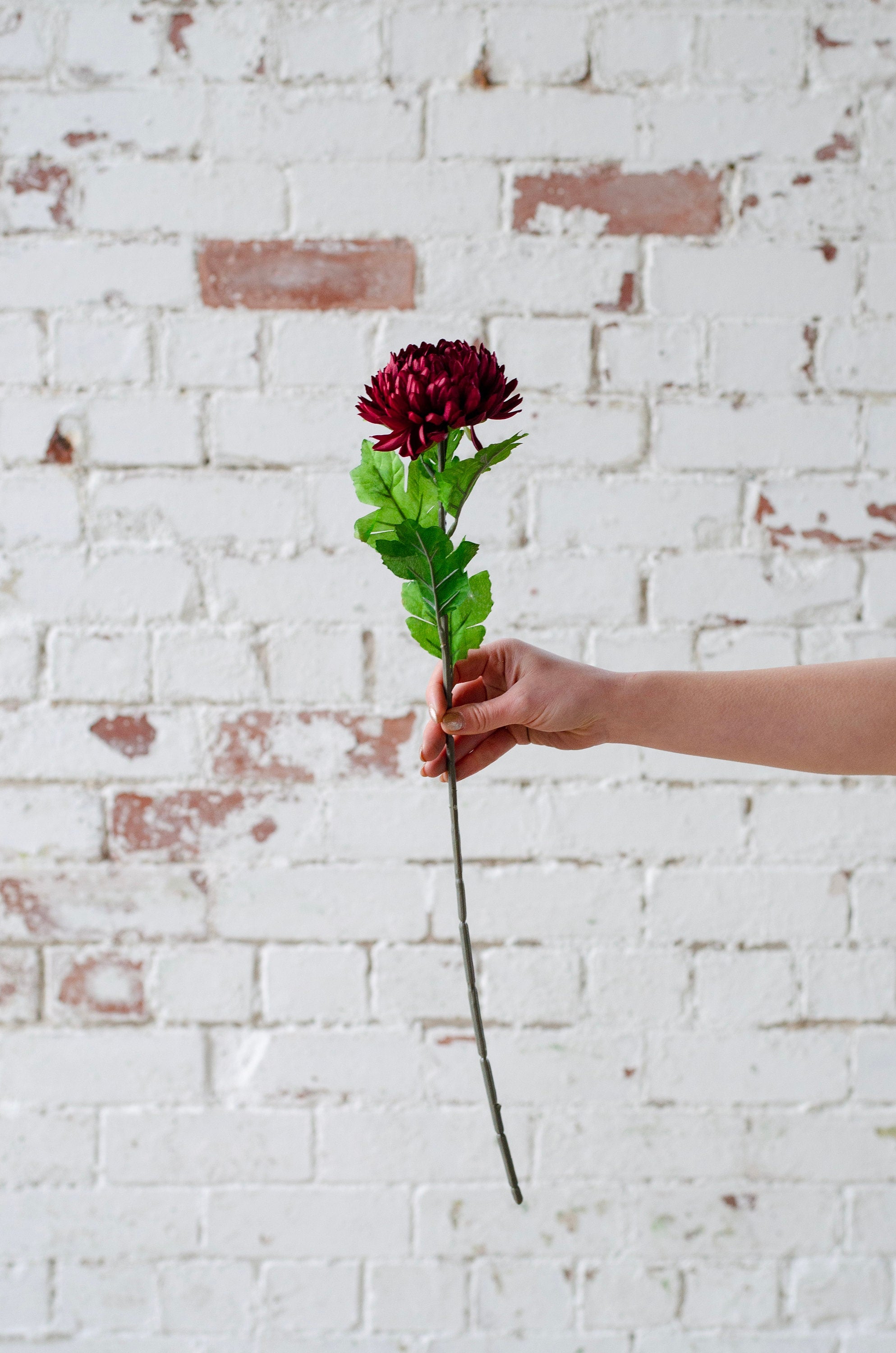 Artificial chrysanthemum mum stem in colour deep red 58cm. Single stem