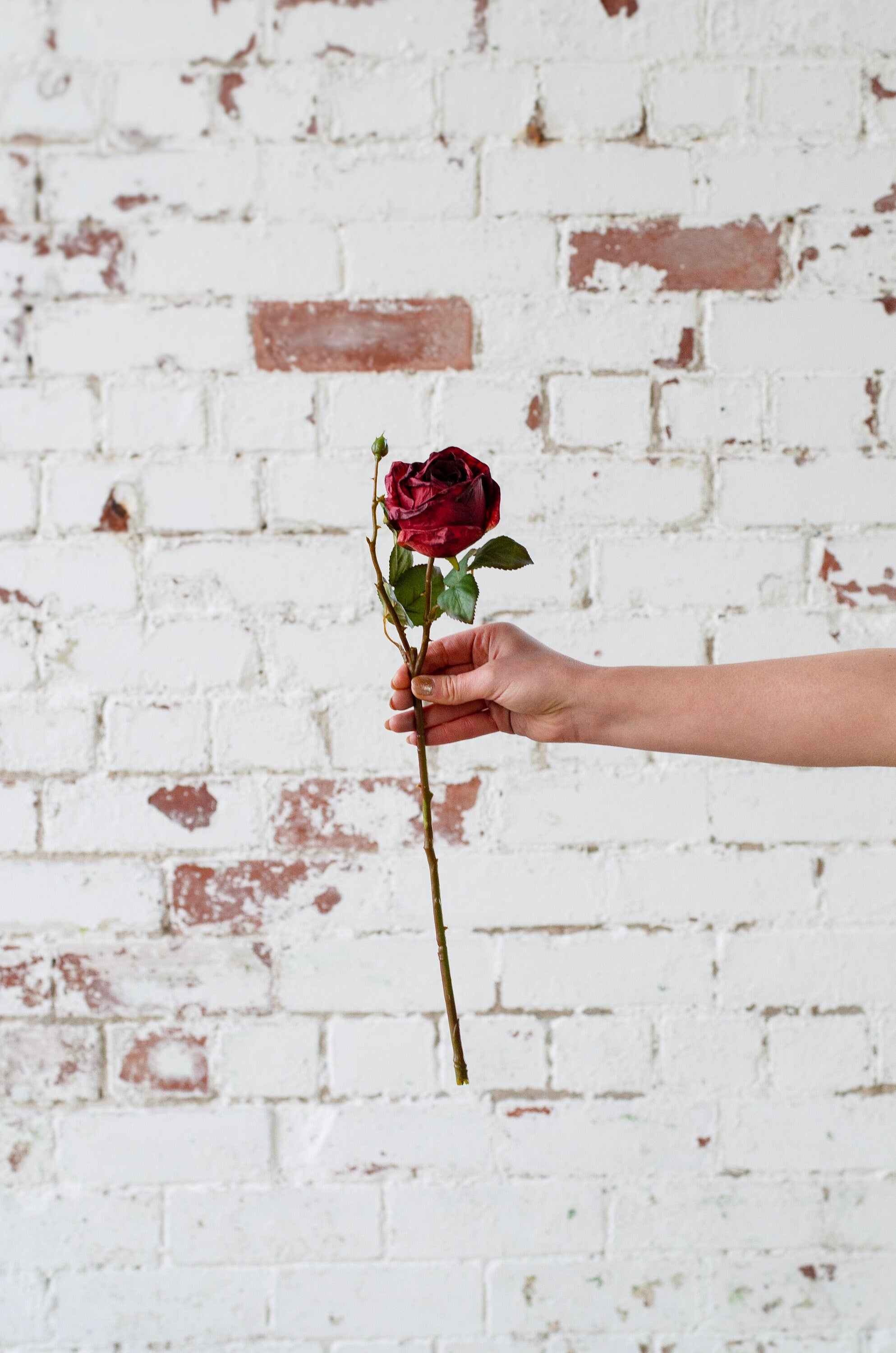 Luxury artificial dry look red rose, single stem faux red rose, valentines day flowers
