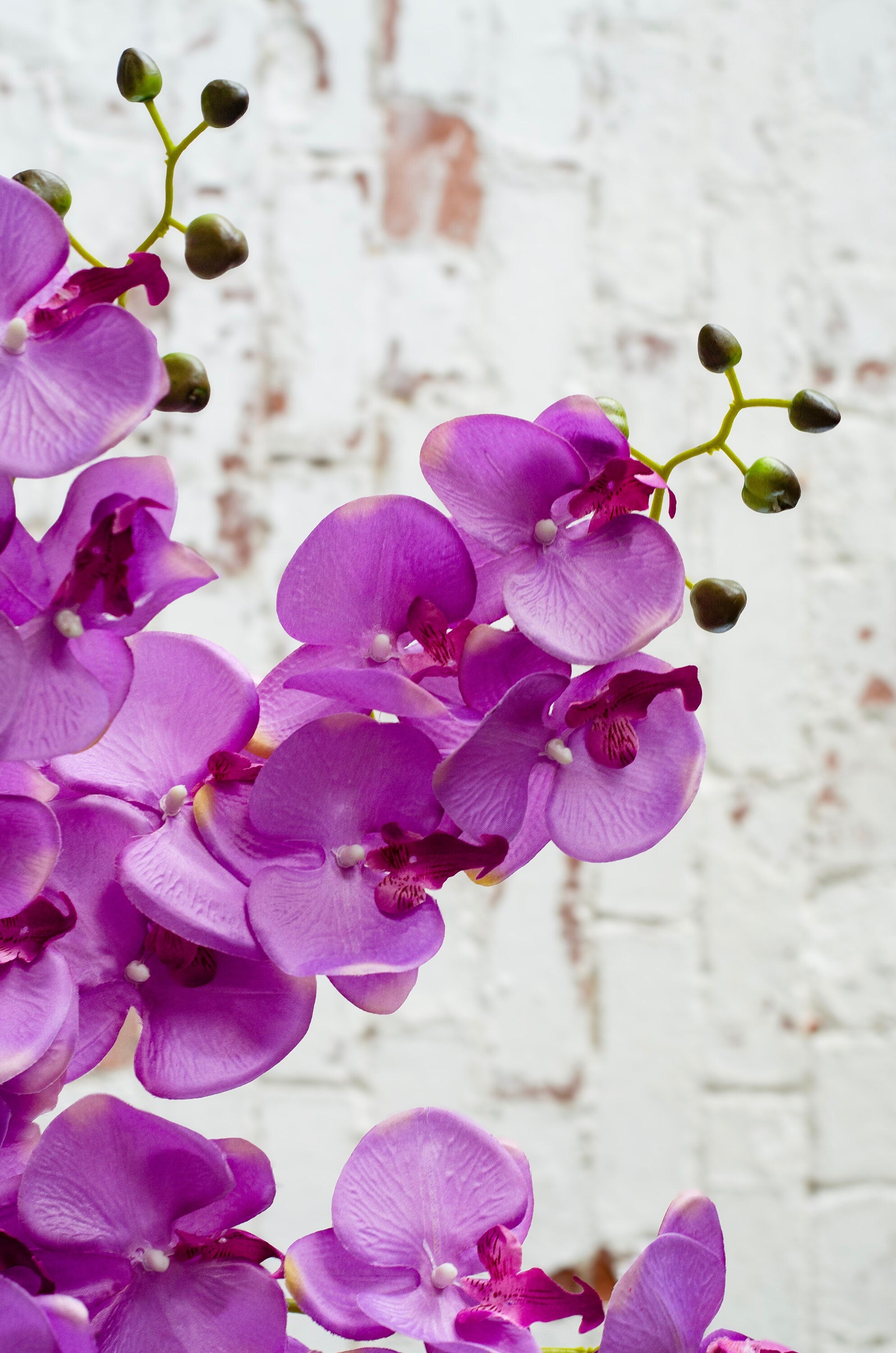 Bright Pale pink faux orchid stem