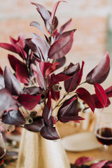 Ember | Faux Burgundy Eucalyptus Arrangement